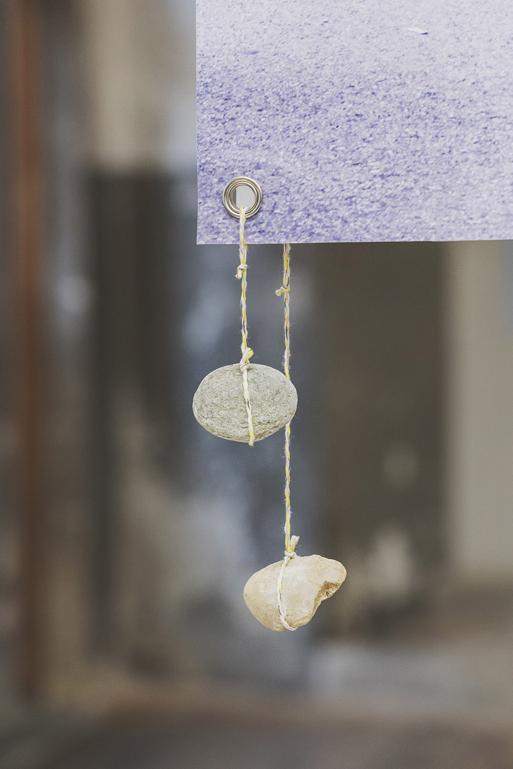 Lifetime Archives : X-Project, Victor Sala