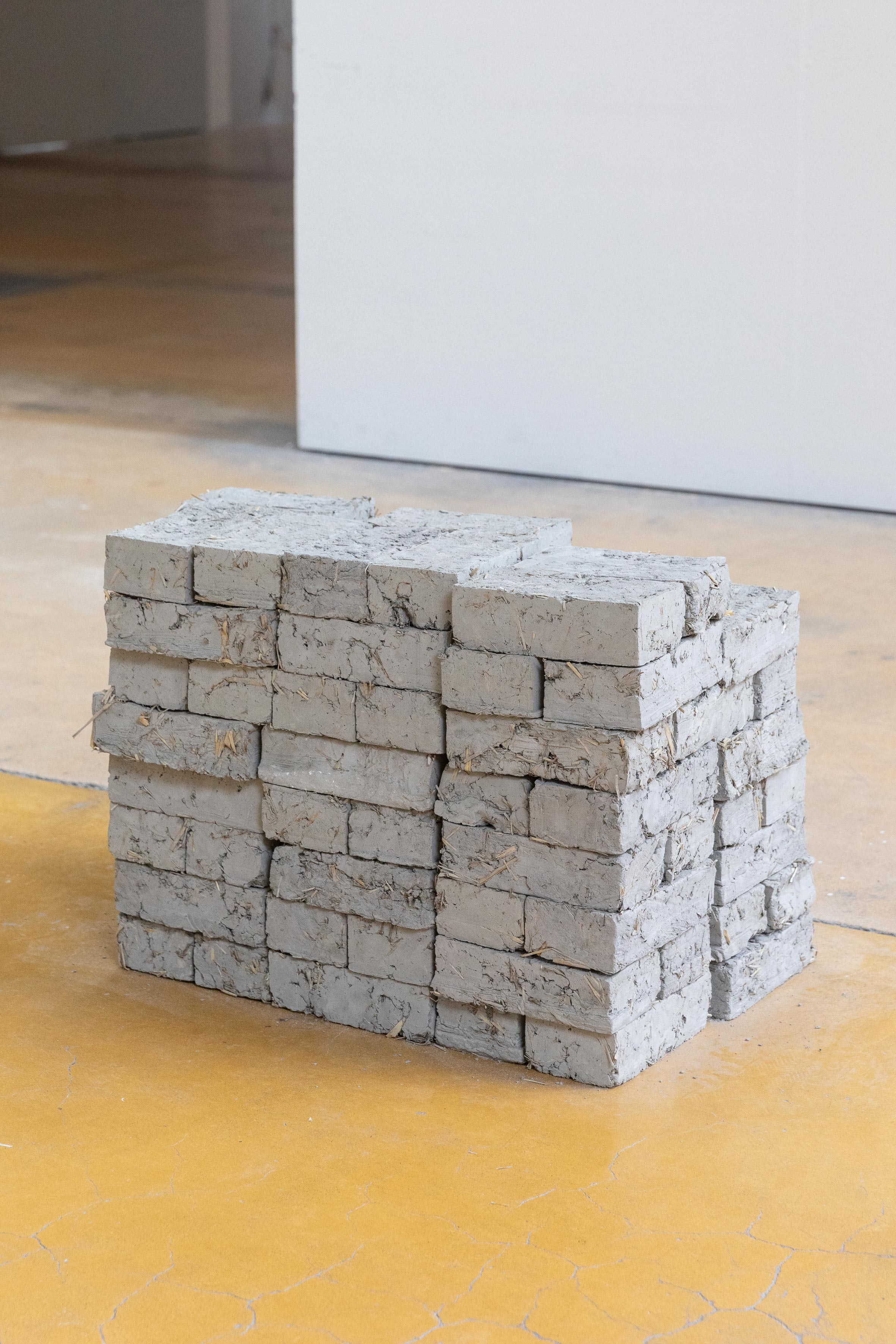 A few bricks short of a full load, Victor Sala