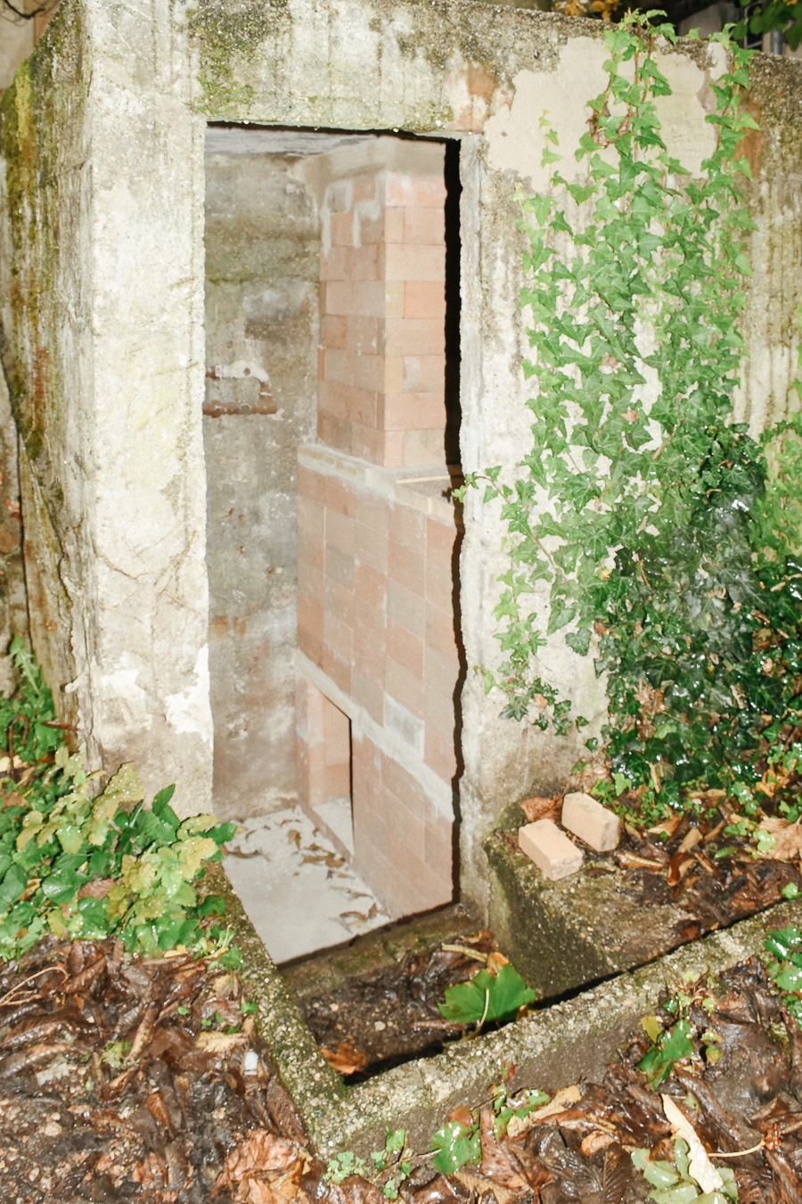 Four à cuisson culturel, Victor Sala