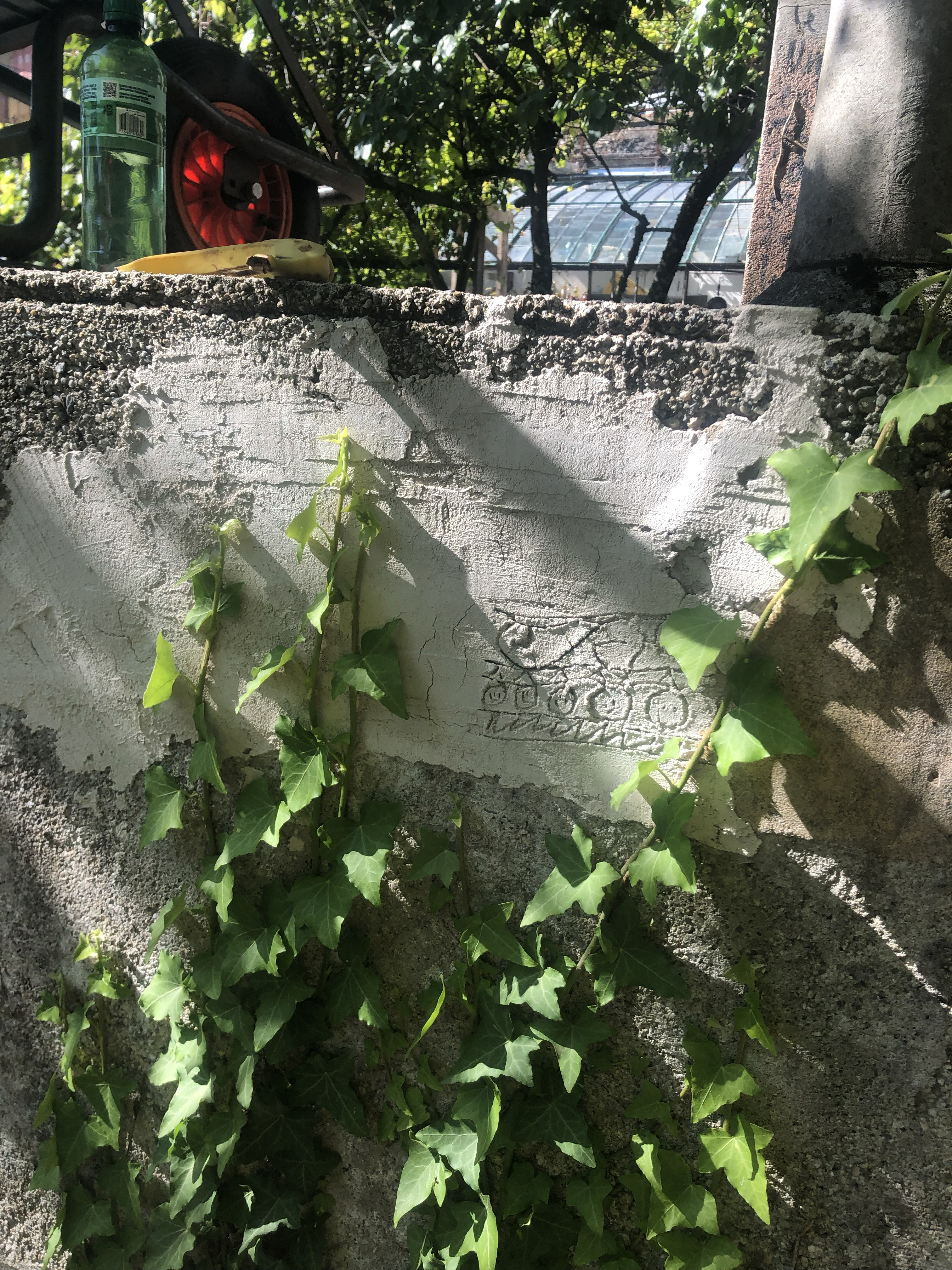 Four à cuisson culturel, Victor Sala